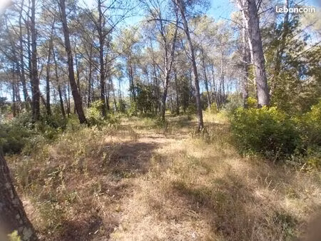 terrain 1 200 m² bagnols en foret