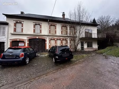 maison de 11 pièces avec dépendance et terrain dans centre de moussey