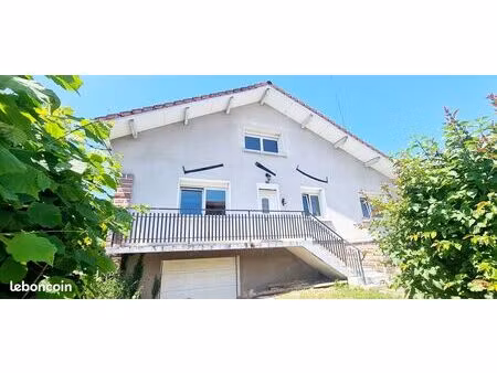 maison individuelle rénovée avec grand jardin