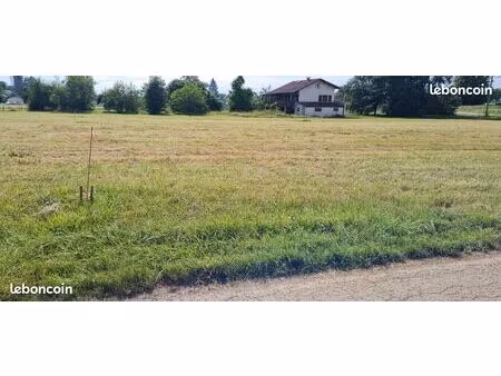 beau terrain constructible  plat