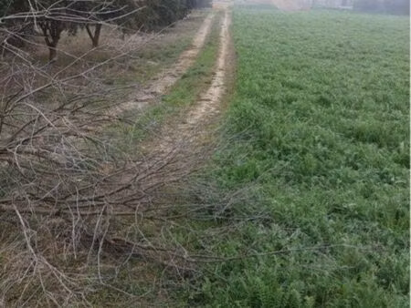 terrain constructible