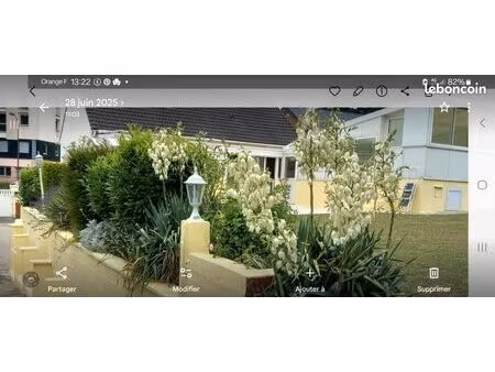 pavillon plain-pied sur sous-sol