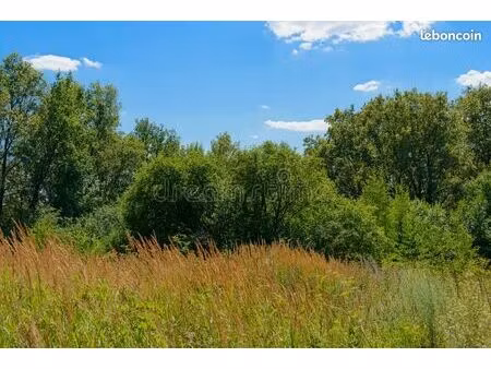 pré de 48 ares à louer