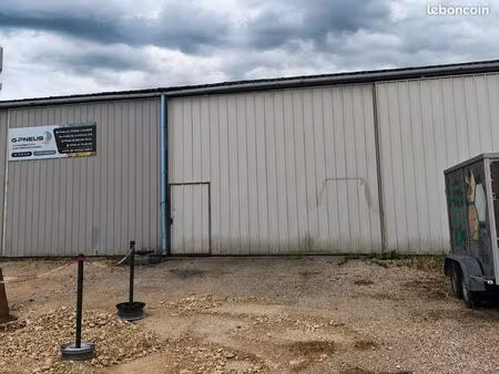 local d'activité 100 m² – porte sectionnelle –