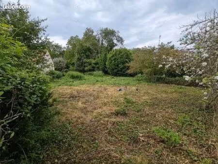 terrain 1 156 m² dannemois