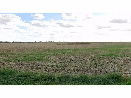 terrain 368 m² boissy la riviere