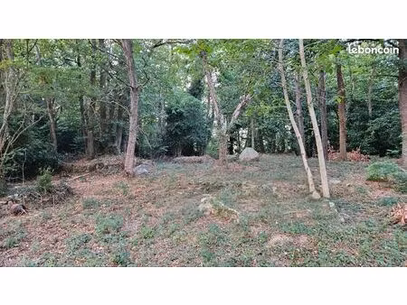 terrain de loisirs 1000 m2 à 91840 soisy sur ecole