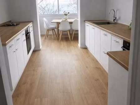 appartement t3 sartene