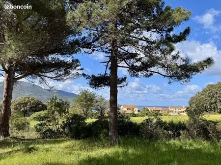 terrain 916 m² calcatoggio