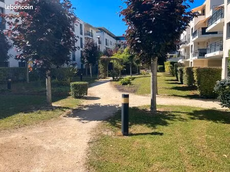 studio 24 m2 centre ville 