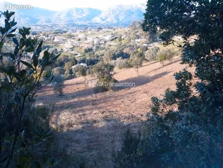 à vendre terrain constructible sur la plaine de cuttoli