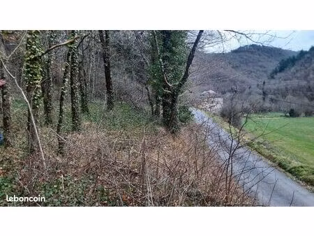 terrain 4500m boisé