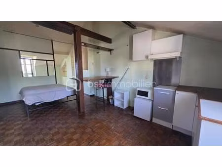 studio t1 - 30 m2 - grenier et cave