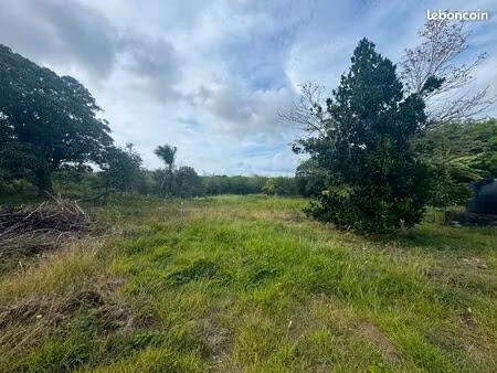 vente de terrain anse-bertrand 1500 m2