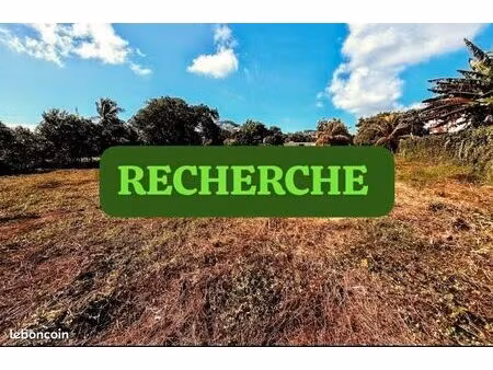 cherche terrain - jeune gua
