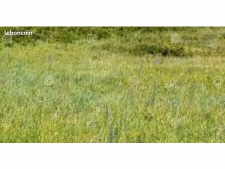 recherche herbage à acheter
