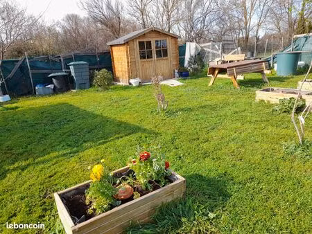 terrain potager