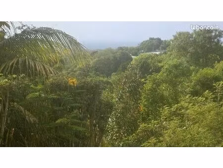 recherche terrain gosier 1000m2