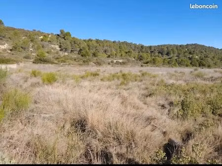 terrain de loisirs proche de saint marcel et bize minervois
