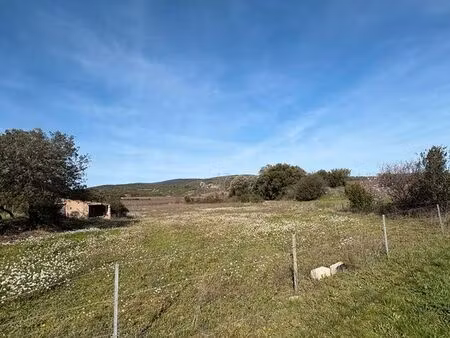 terrain agricole