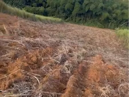 terrain