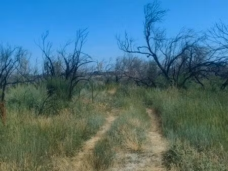 terrain agricole
