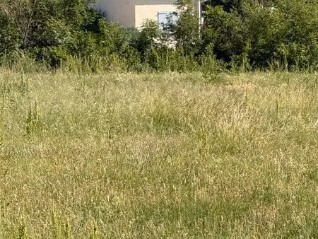maison de vigne sur hauteurs de millau