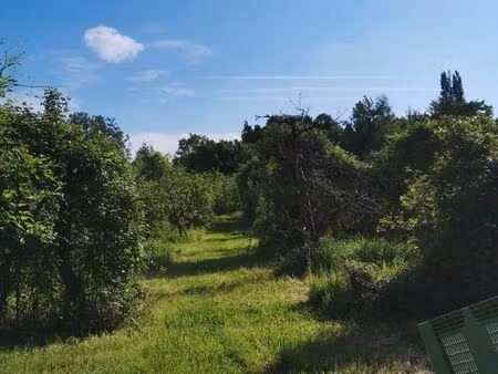 grand terrain batir 3 780 m² aux portes d'honfleur – viabilisé