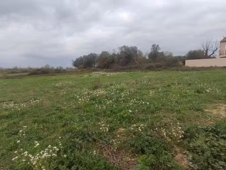 terrain 450 m² salles d aude