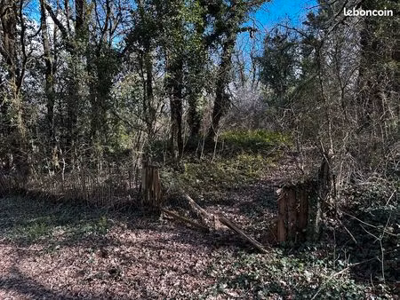 terrain de loisir / bois à vendre