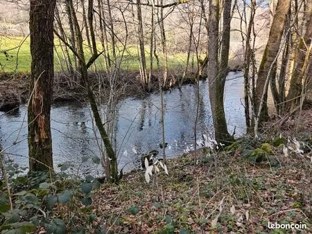 385m2 bois taillis nc vic sur cere 15800 au bord de la cere