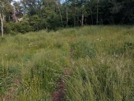 terrain agricole