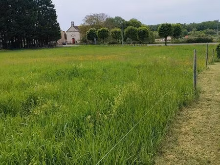 terrain à bâtir borné 2661m2 dans le bourg