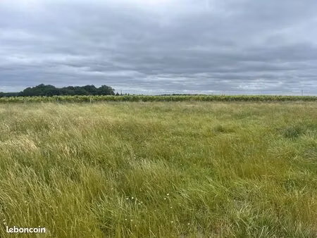 terrain 1 235 m² jonzac