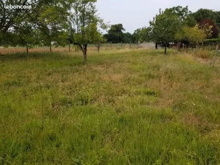 terrain 900 m² juillac le coq