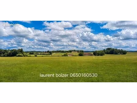 terrain 1 503 m² chalais