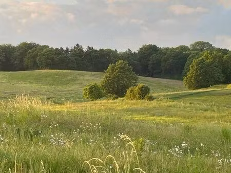 prairie