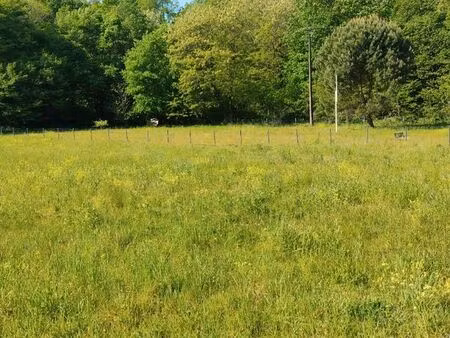 terrain avec cu