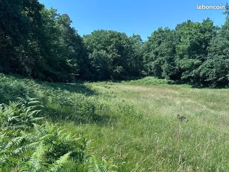 terrain agricole