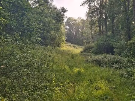 parcelles de bois avec ruisseau - prairie