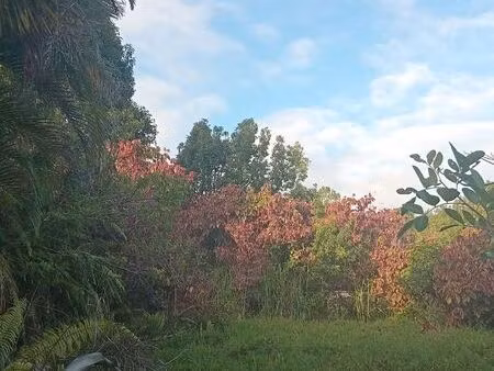 louer 1 terrain nu constructible 110 m2