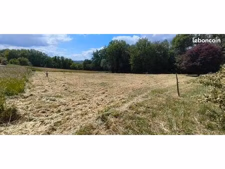 terrain constructible