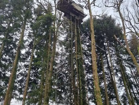 forêt diversifiée de 8 5 ha à meilhards - à vendre