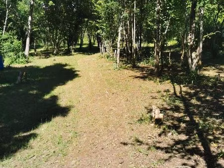 terrain bois de loisirs