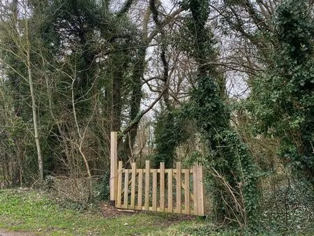 parcelle boisée