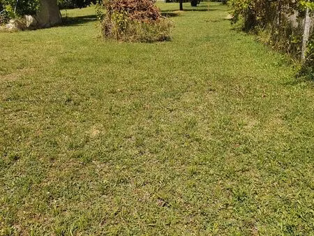 terrain constructible 1153 m2  autorisation de construire deux maisons