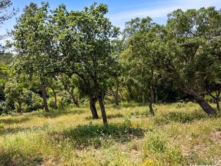 terrain constructible viabilisé