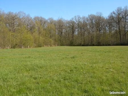 terrain agricole / herbage / pré / non constructible - idéal chevaux - 7 398 m²