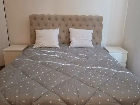 appartement meublé refait à neuf - 50m2