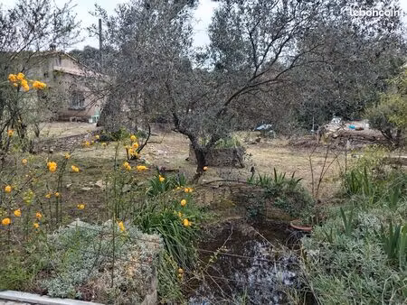 propriété avec maison et piscine